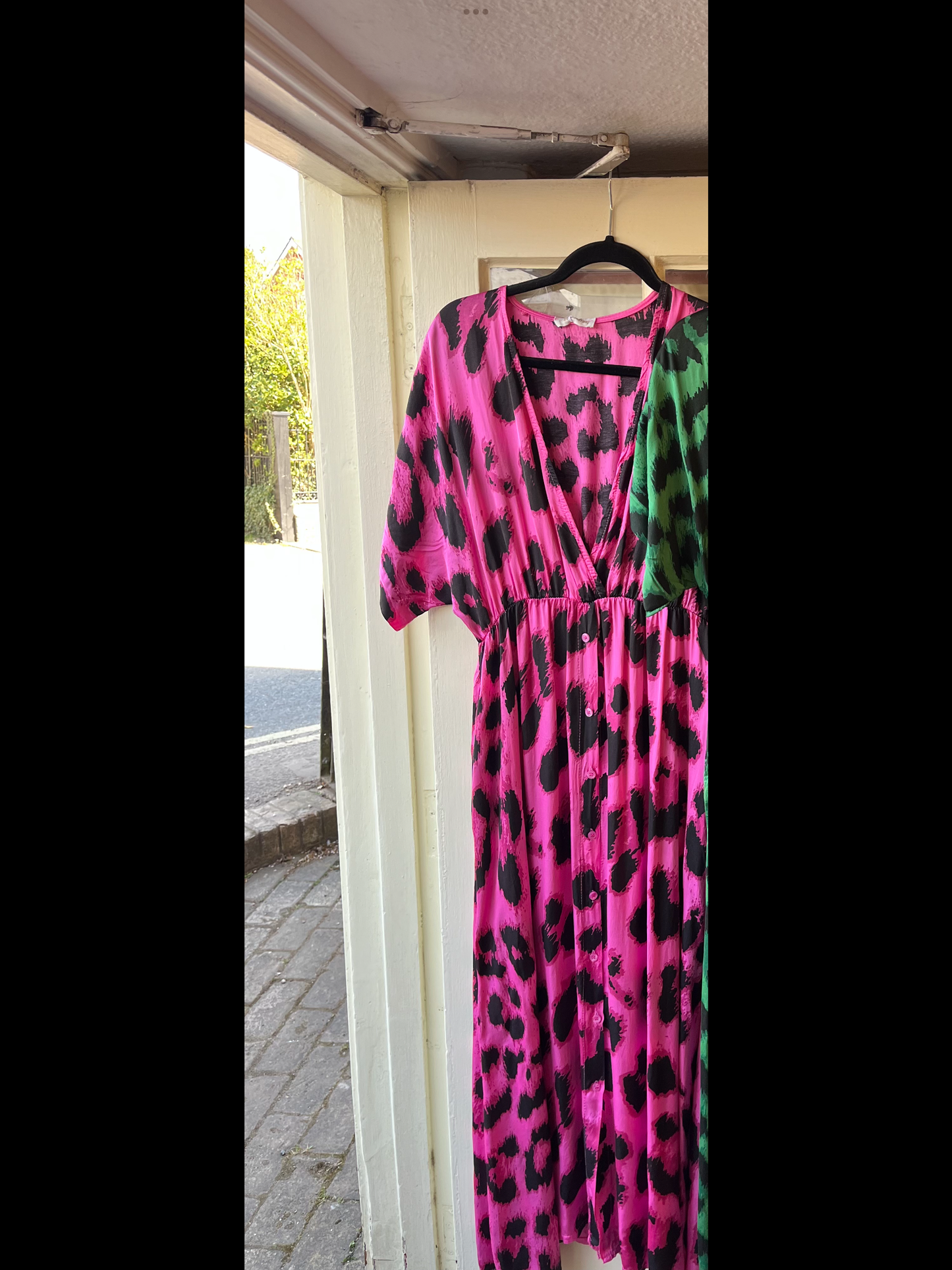 Animal Print Dress
